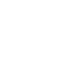 white turtle icon