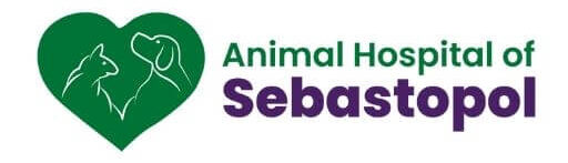 Animal Hospital of Sebastopol