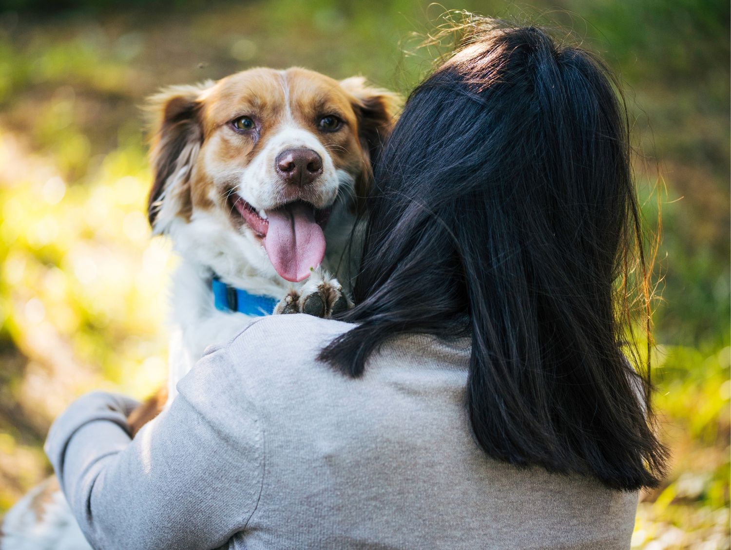 Pet-anesthesia-patient-monitoring header image A person holding a dog